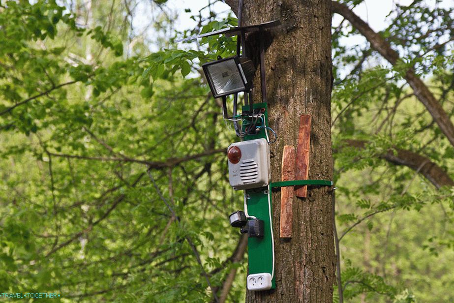 Near the gazebo of Apollo motion sensor