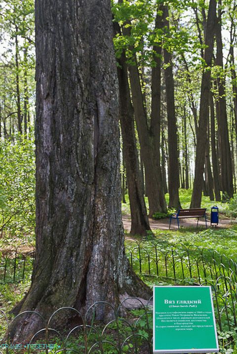 Significant trees are signed