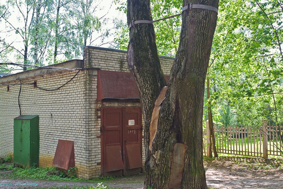 Trees save metal ties