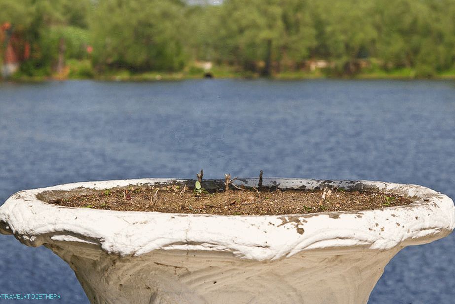 There will probably be sometime flowers here