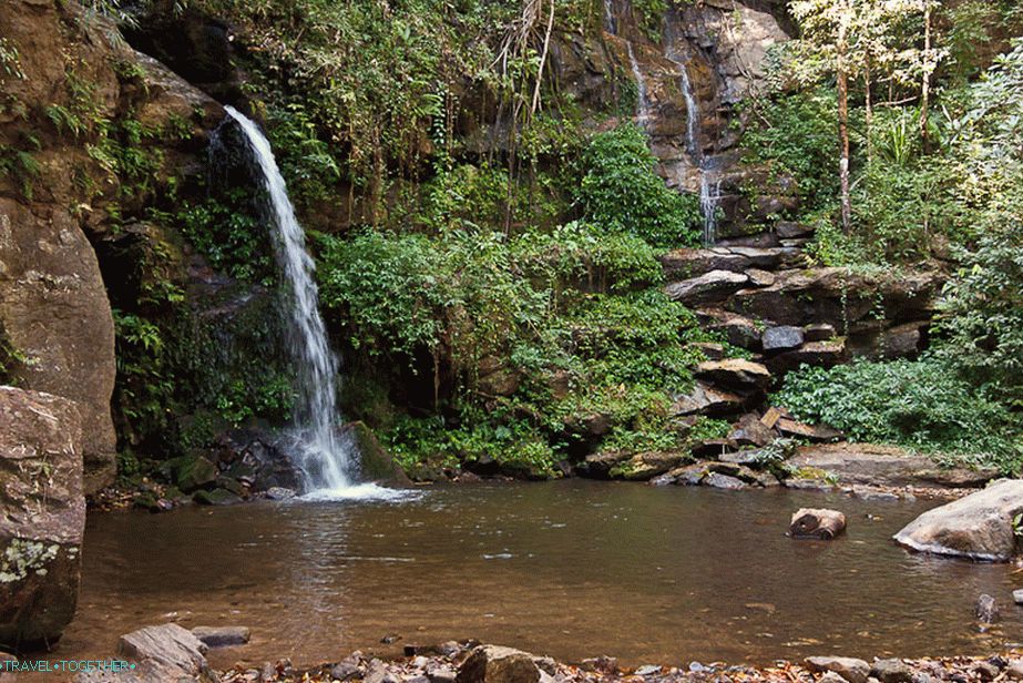 Waterfall in the jungle