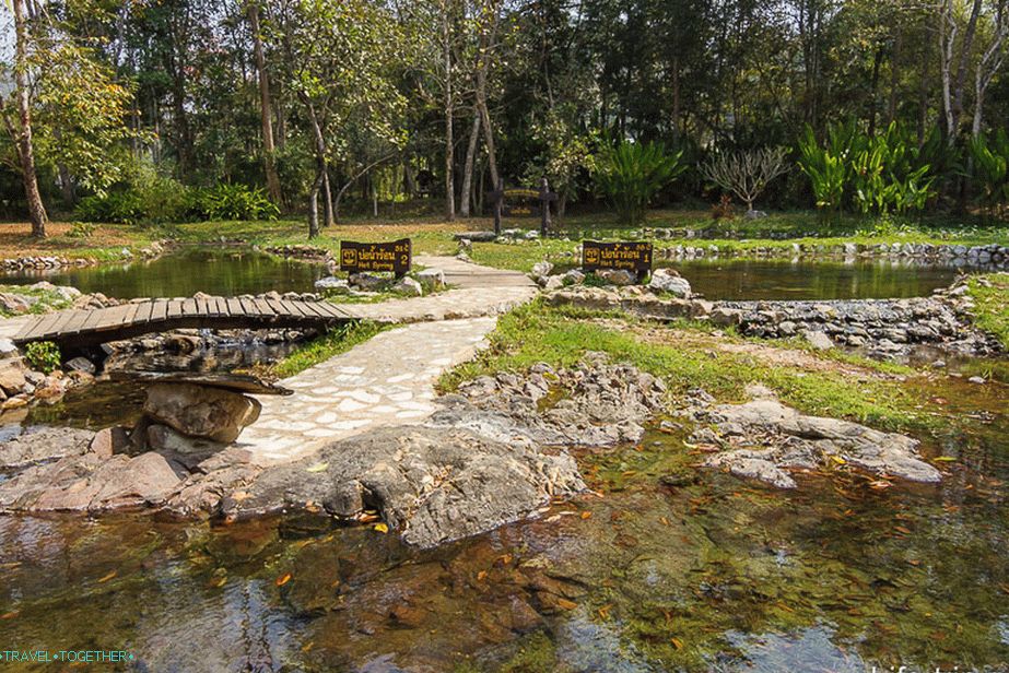 Two sources in the form of ponds
