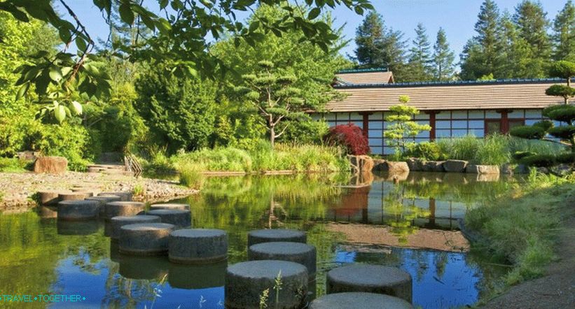 Japanese garden