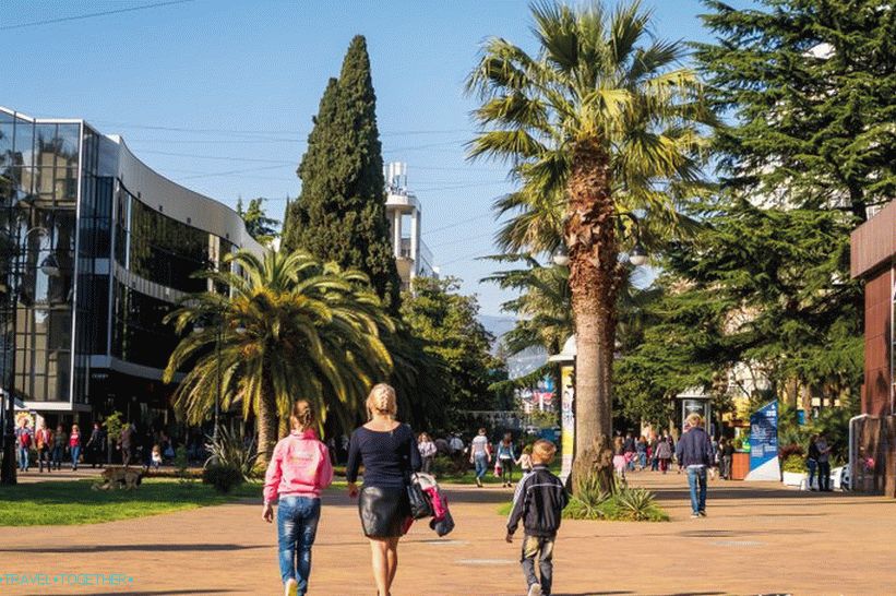Navaginskaya Street in Sochi - the natural local Arbat