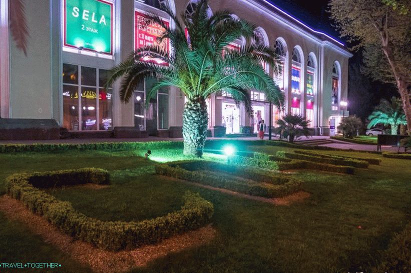 Navaginskaya Street in Sochi - the natural local Arbat