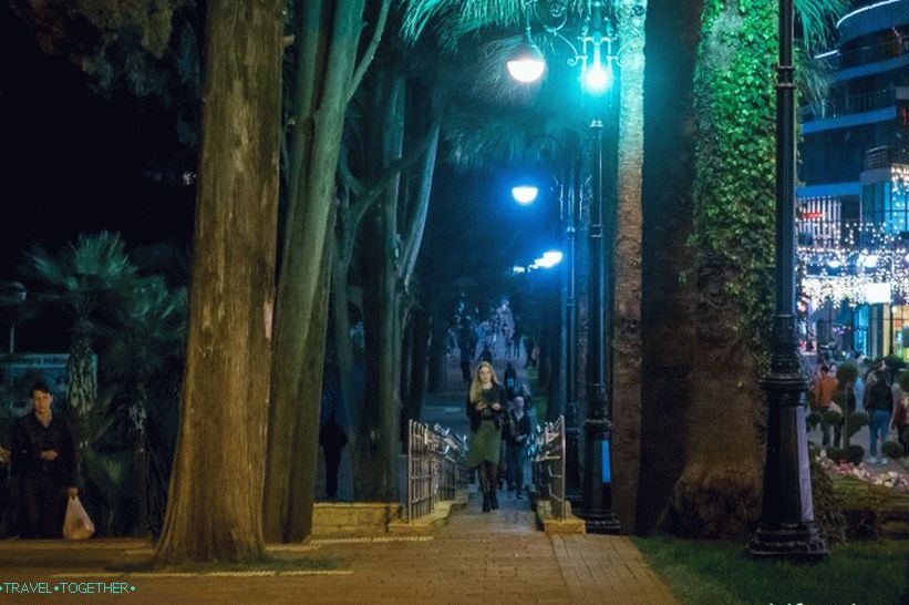 Navaginskaya Street in Sochi - the natural local Arbat