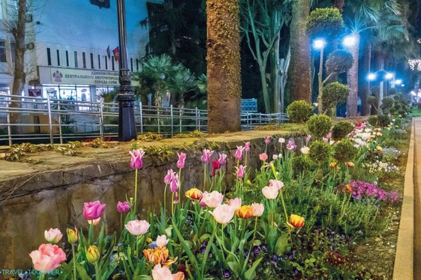 Navaginskaya Street in Sochi - the natural local Arbat