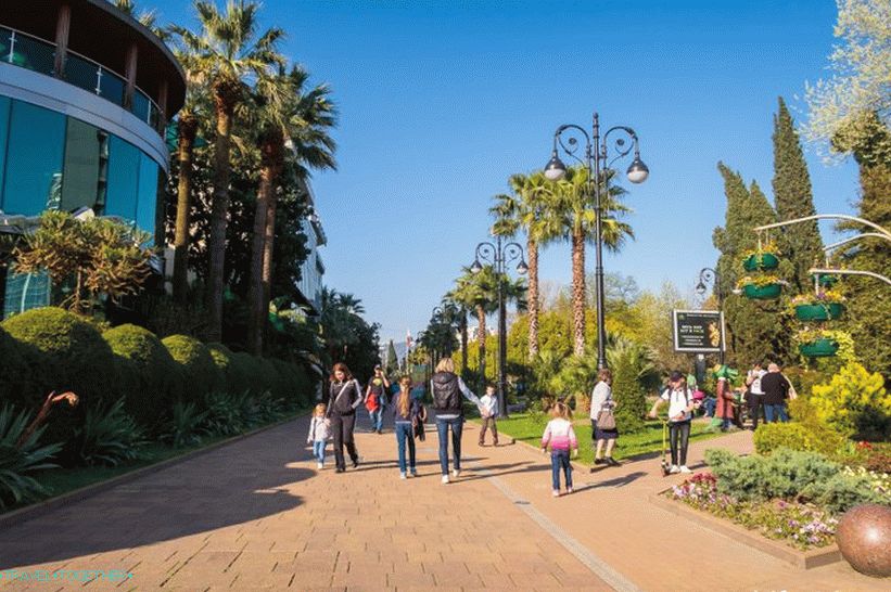 Navaginskaya Street in Sochi - the natural local Arbat
