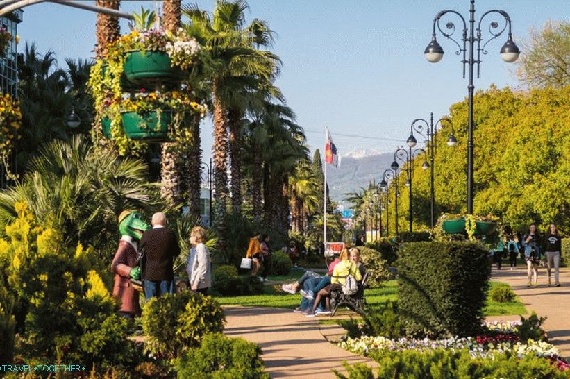 Navaginskaya street in Sochi, in the afternoon