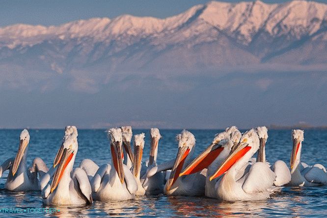 The unexplored point on the map of Northern Greece: the sights of Serres