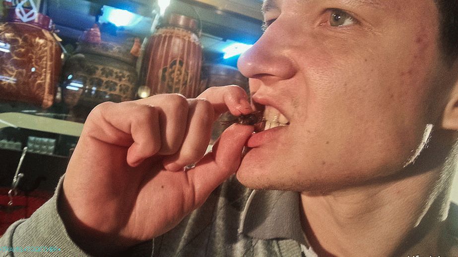 Andrei demonstrates how he likes grasshoppers