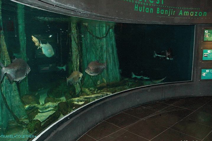 One of the large aquariums of the Oceanarium