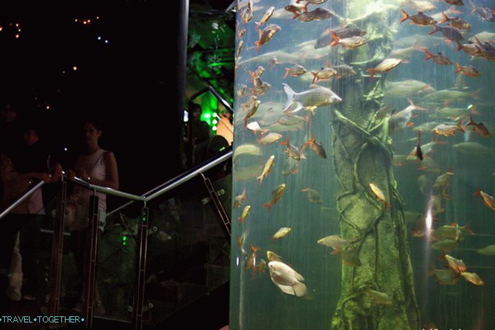 Entrance to the lower floor of Kuala Lumpur Oceanarium
