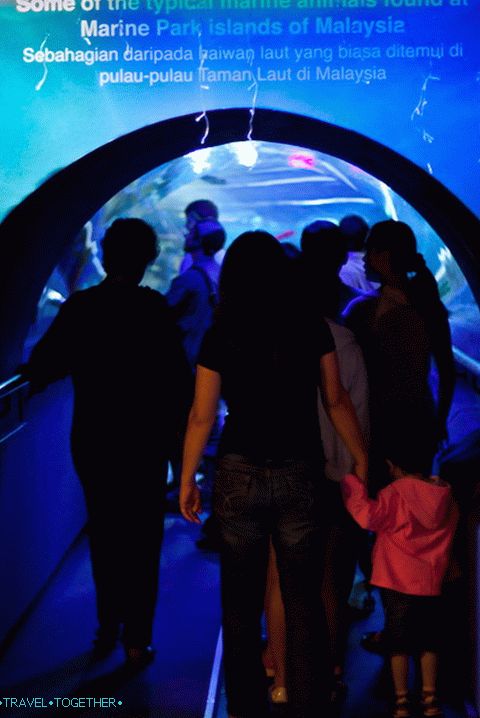Entrance to the 90-meter tunnel
