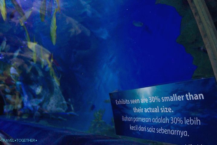 What you see is 30% smaller than its current size