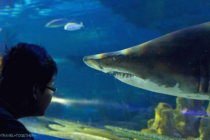 I can not believe that this mouth is real