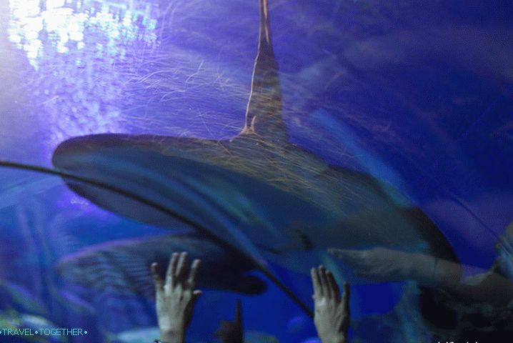 I feel like touching