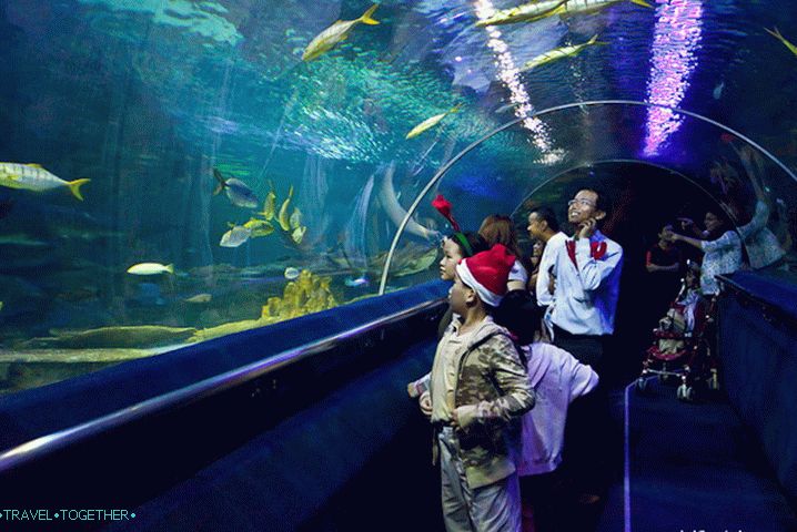 Tunnel in Kuala Lumpur Oceanarium