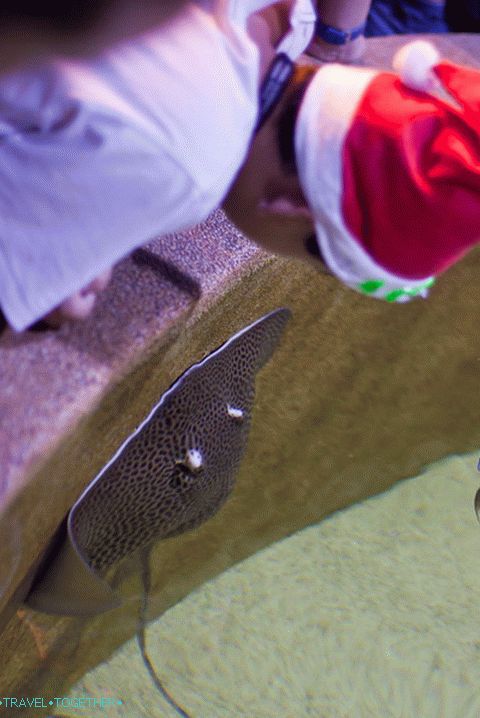 The same ramp climbing the wall