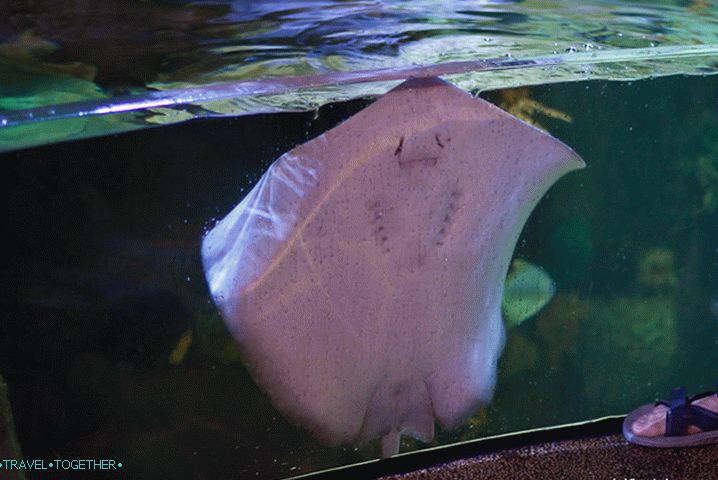 The same ramp climbing the glass