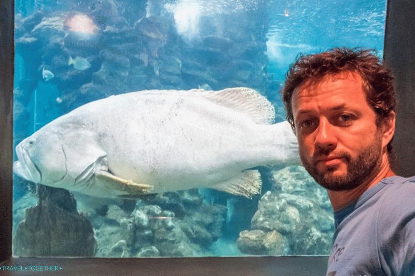 Phuket Aquarium, inside view