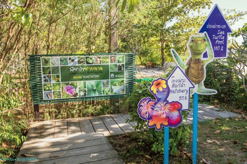 Phuket Oceanarium - which is rather a dull aquarium