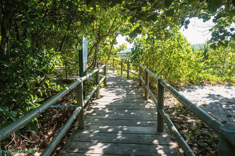 Phuket Oceanarium - which is rather a dull aquarium