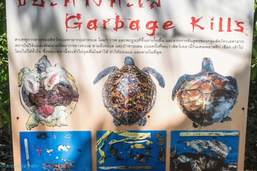 Phuket Oceanarium - which is rather a dull aquarium