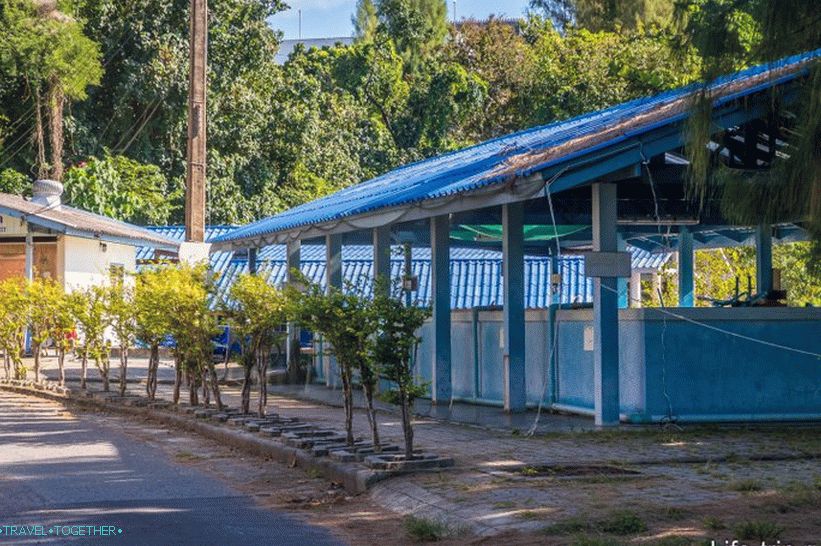 This is what the pool looks like outside.