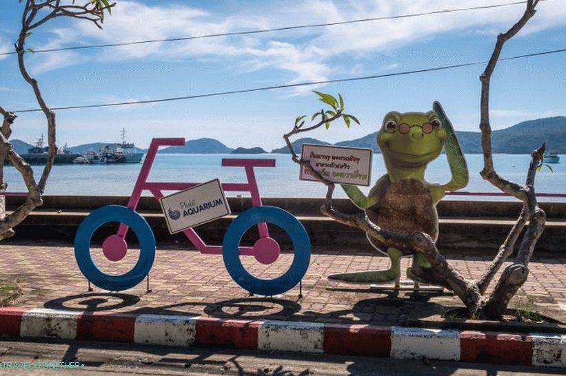 Phuket Oceanarium - which is rather a dull aquarium