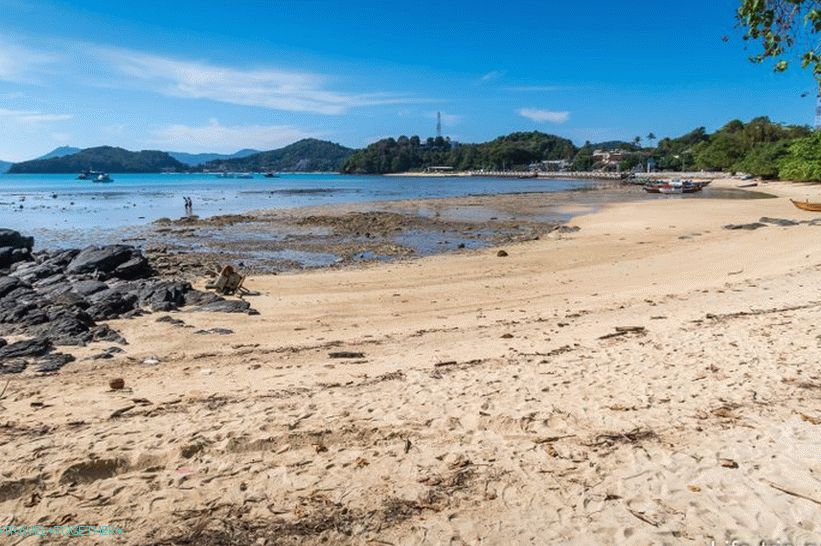 If you look at the embankment from the pool with turtles