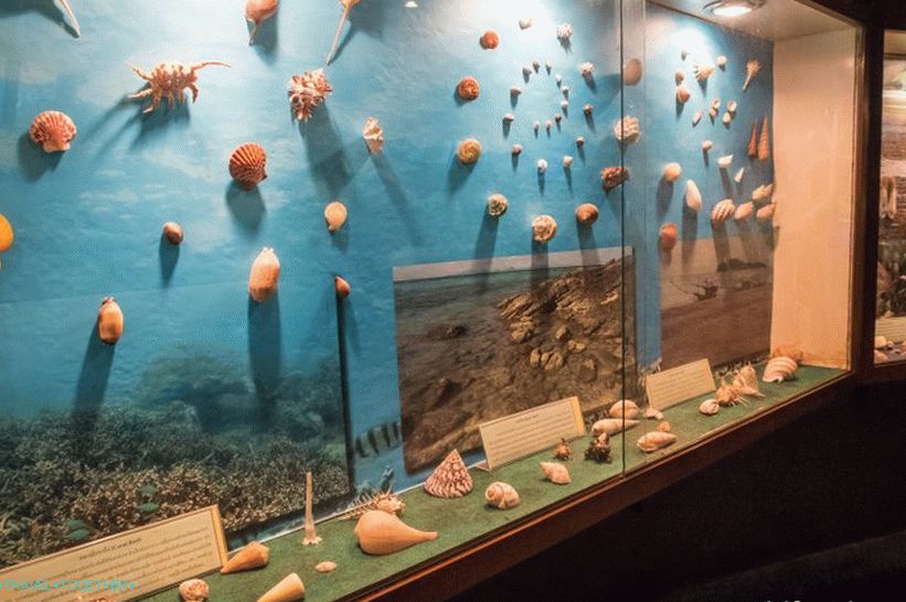 Phuket Oceanarium - which is rather a dull aquarium