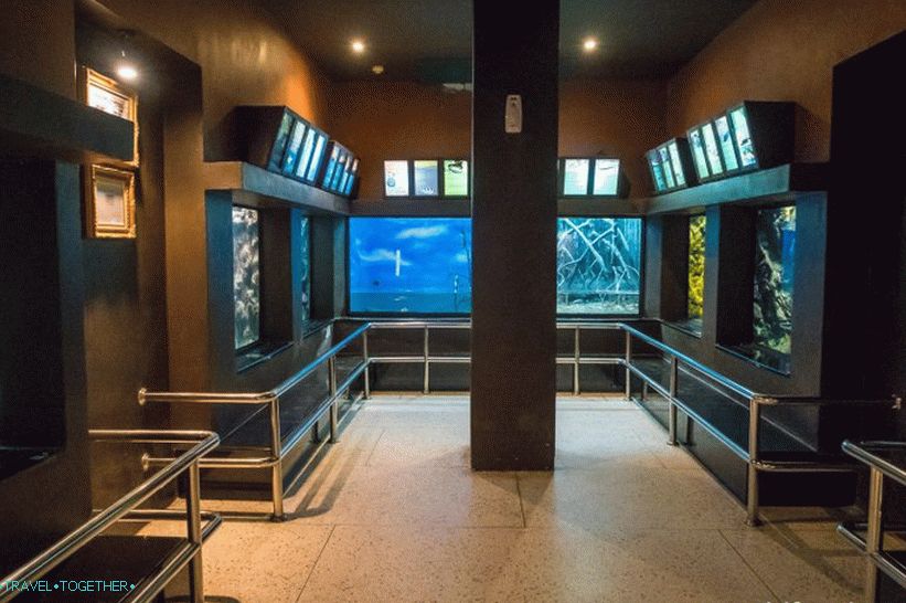 Phuket Oceanarium - which is rather a dull aquarium