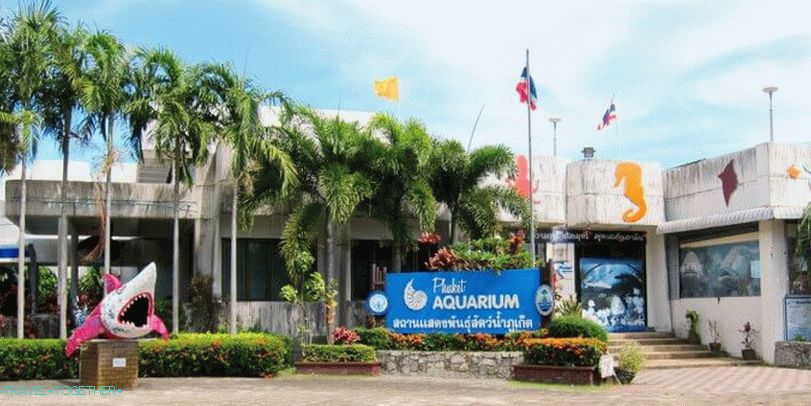 Phuket Oceanarium