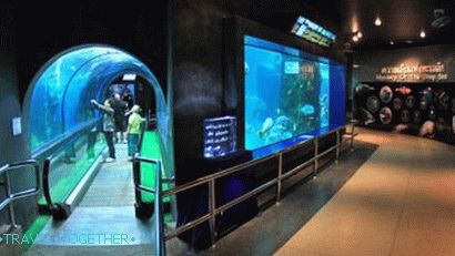 Phuket Oceanarium