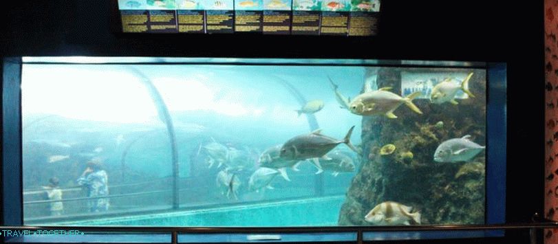 Phuket Oceanarium