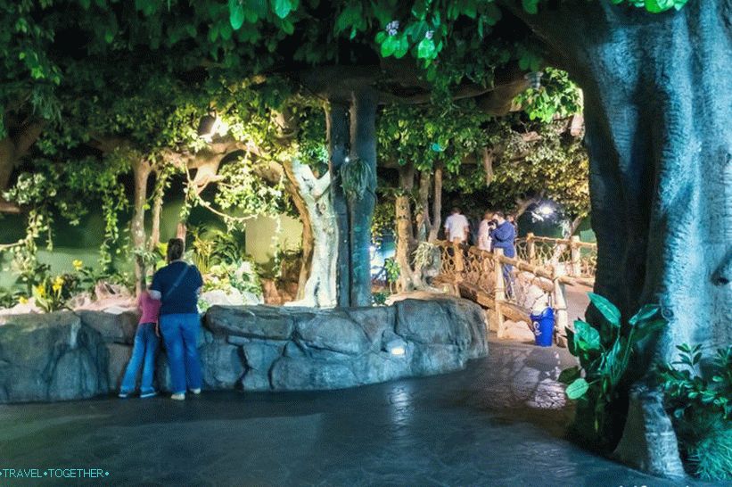 Oceanarium in Adler - surprisingly delight and shock