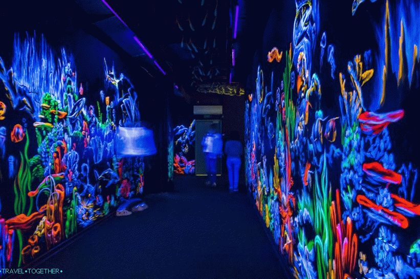 Oceanarium in Adler - surprisingly delight and shock