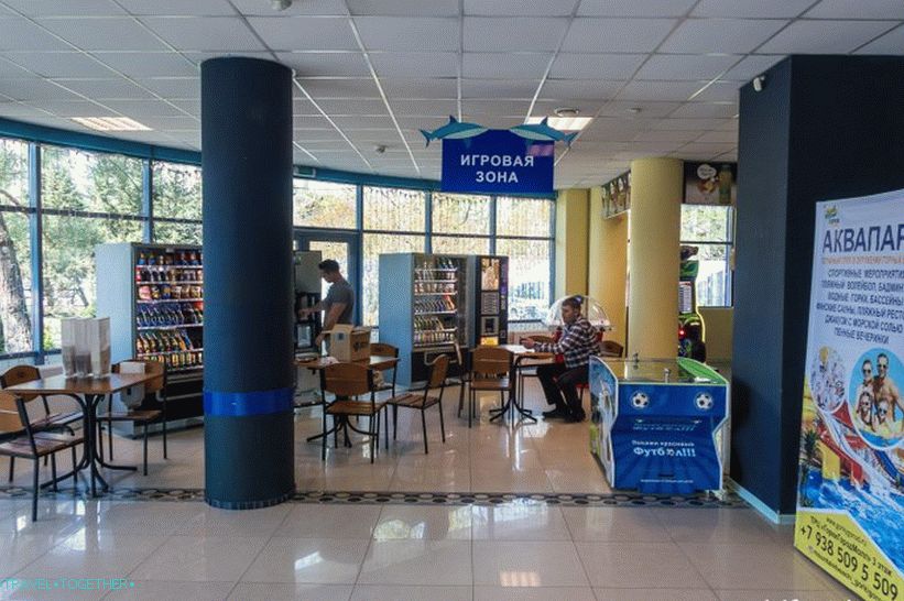 Oceanarium in Adler - surprisingly delight and shock