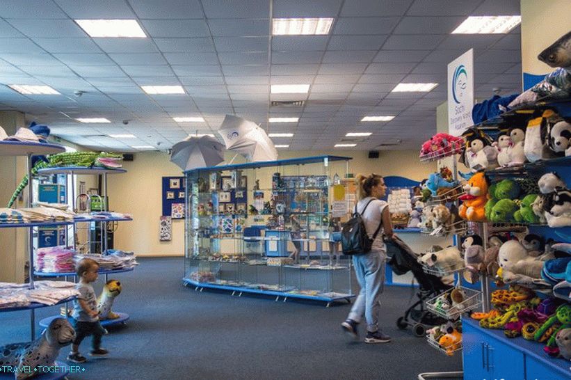 Oceanarium in Adler - surprisingly delight and shock