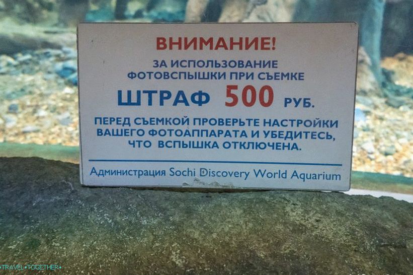 Oceanarium in Adler - surprisingly delight and shock