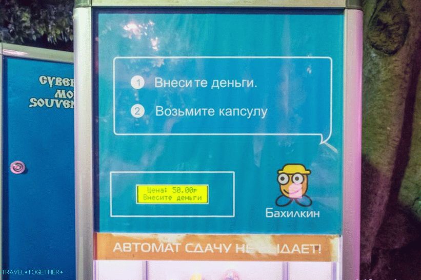 Oceanarium in Adler - surprisingly delight and shock