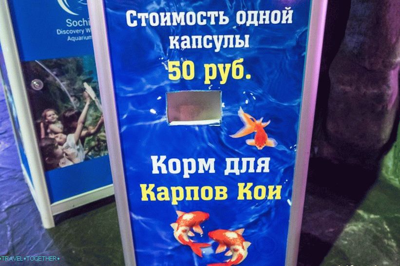 Oceanarium in Adler - surprisingly delight and shock