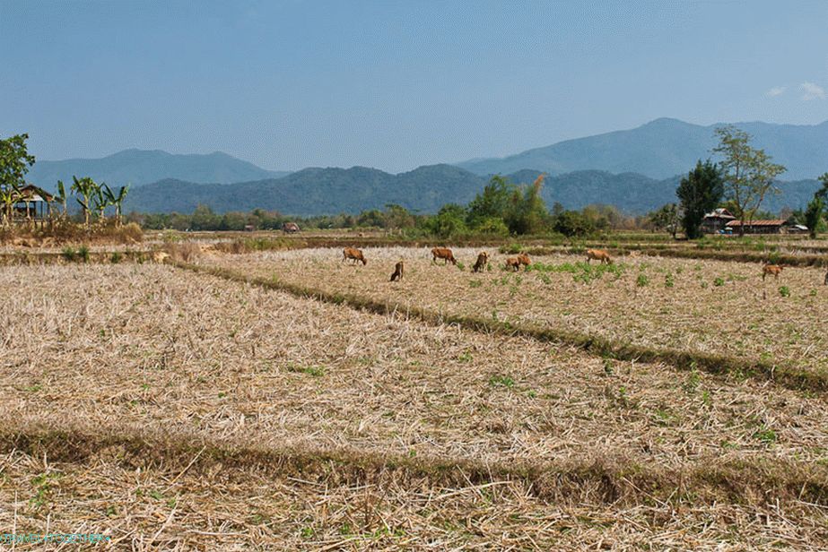 Surroundings of Wang Vieng