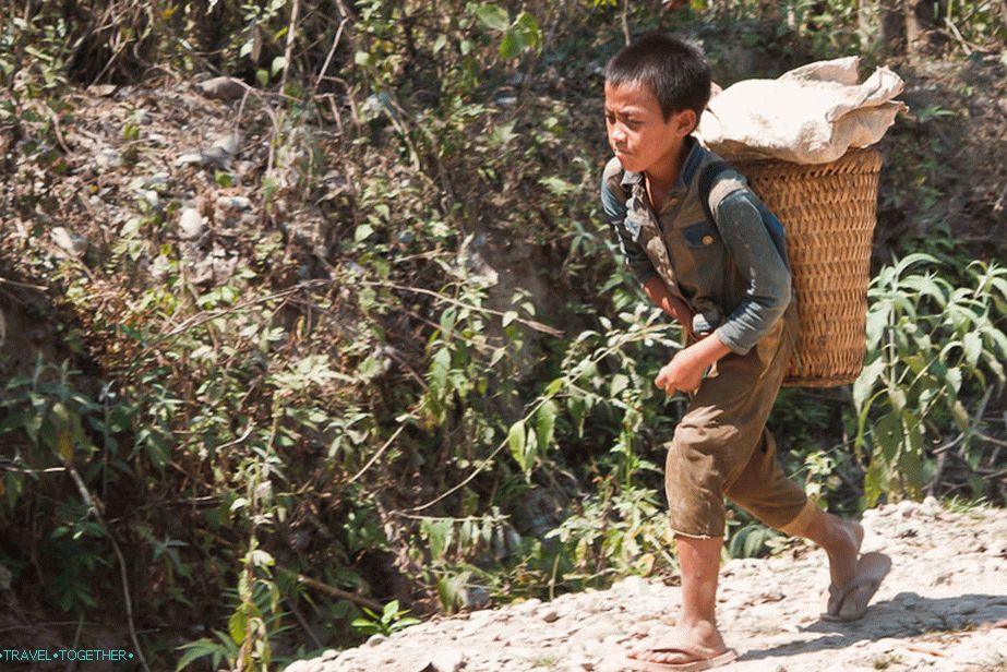 The boy probably pulls more than his weight