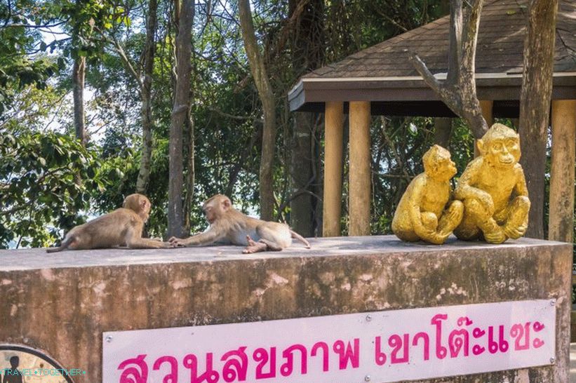 Monkey Mountain in Phuket