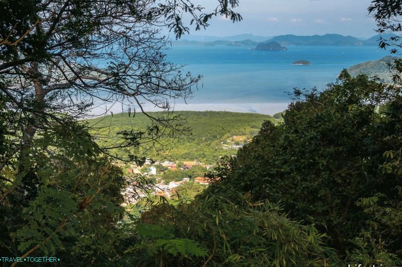 Dangerous Monkey Mountain in Phuket - Monkey Hill (Monkey Hill)