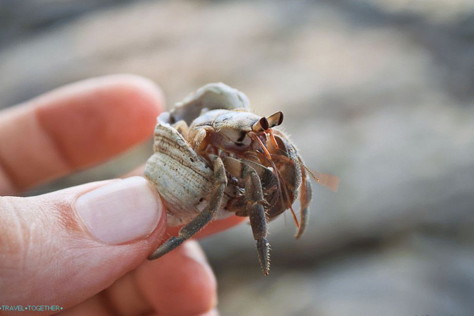 Rachkov can be found on the sea