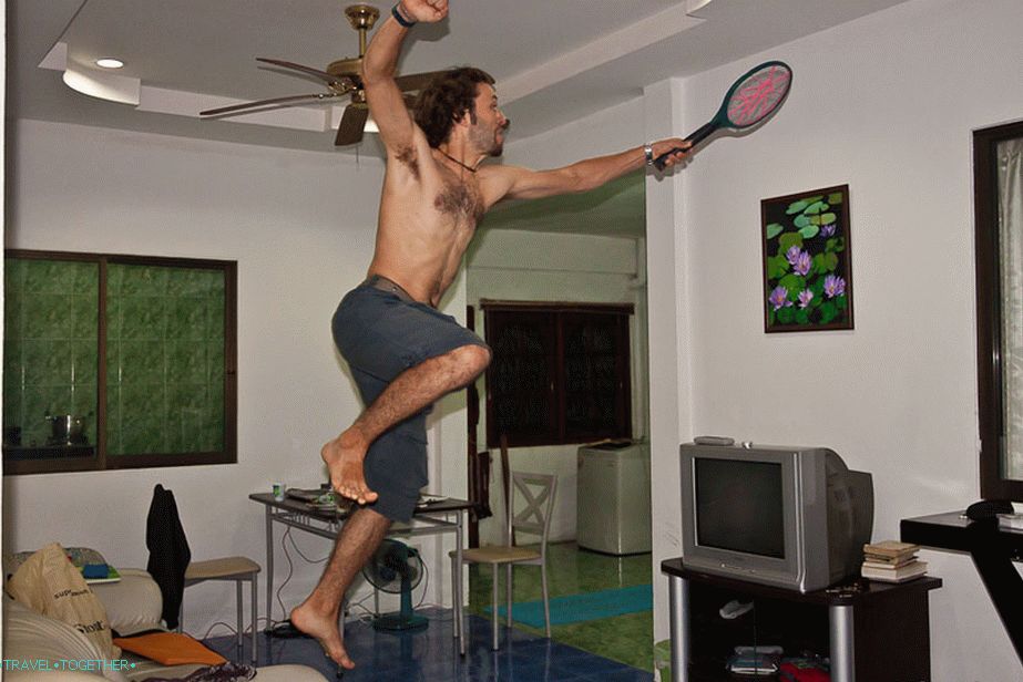 Evening entertainment - mosquito hunting