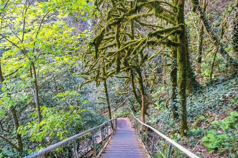 Orekhovsky Waterfall in Sochi - a picnic in nature